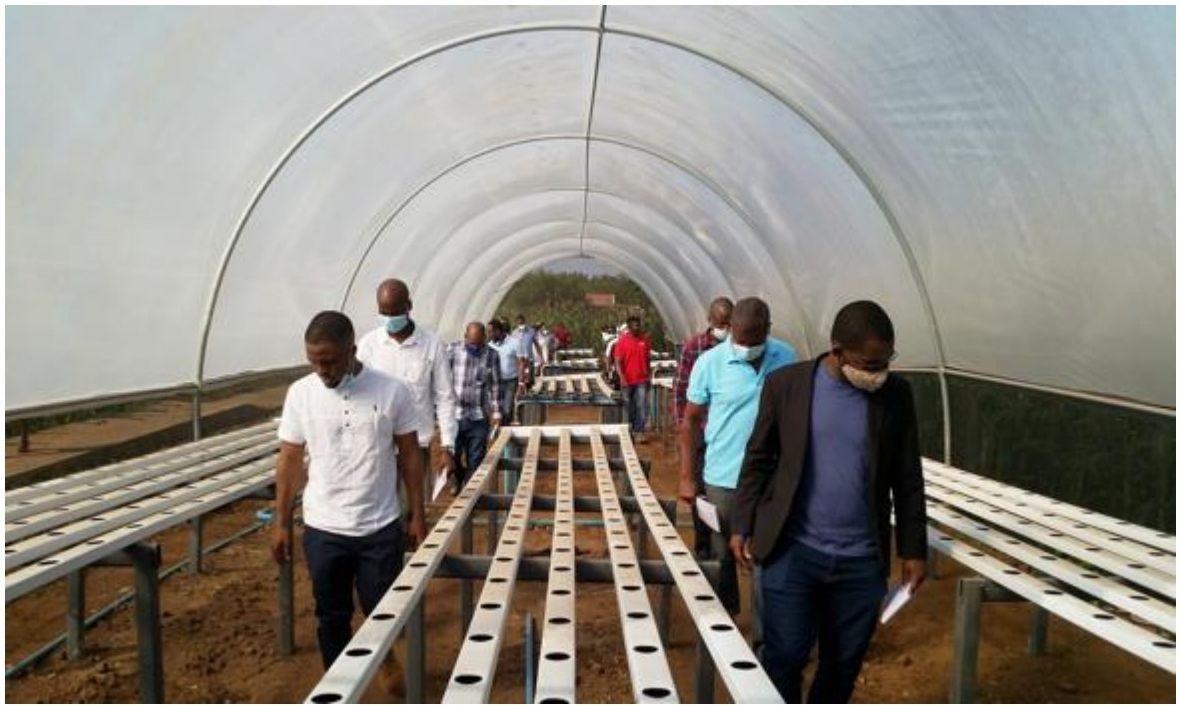 Visita técnica a uma estufa de produção agrícola